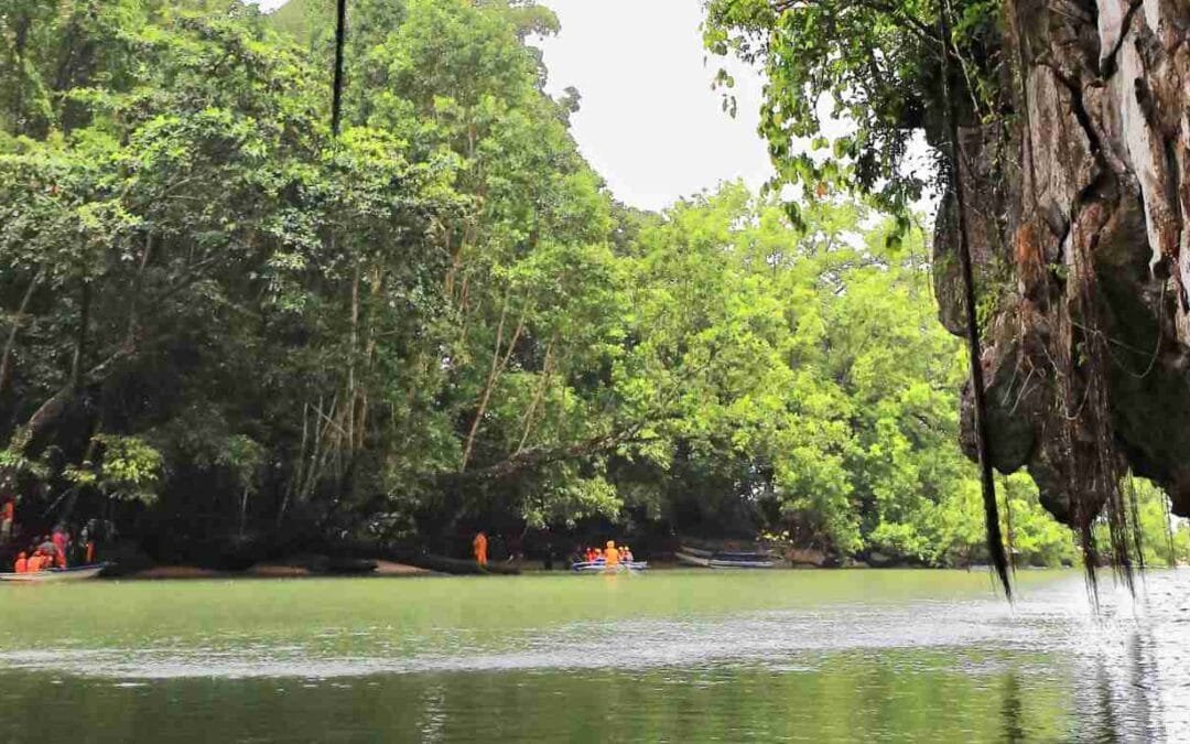 Palawan Puerto Princesa: What You Need to Know