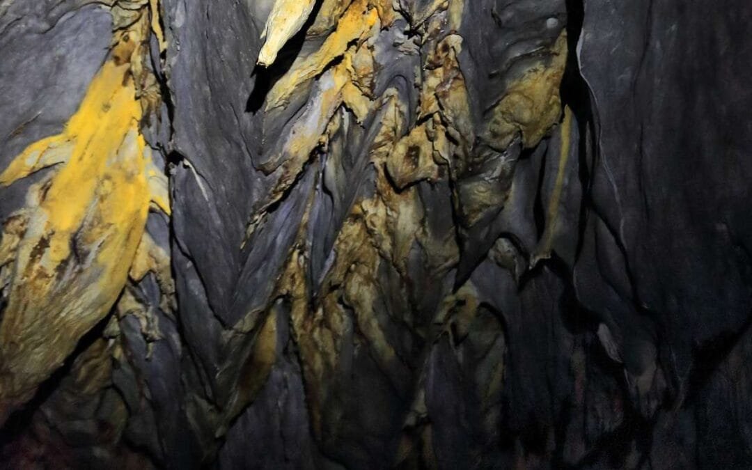 Puerto Princesa Airfare What You Need to Know