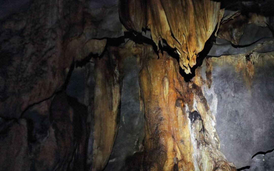 Ultimate Guide to Puerto Princesa Hotels: Your Gateway to Palawan Paradise